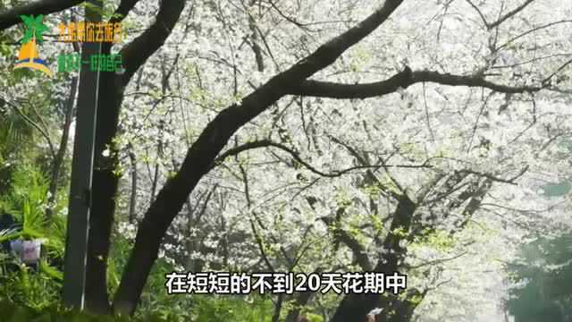 中国最美大学!校园环境不输北大清华!风景堪比5A级风景区!