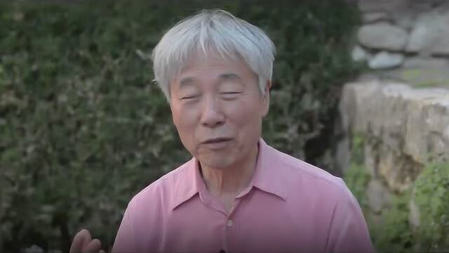 对李禹焕(Lee Ufan)的采访