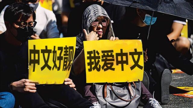 真香!乱港分子发帖称中文最美 被同伙用中文回怼