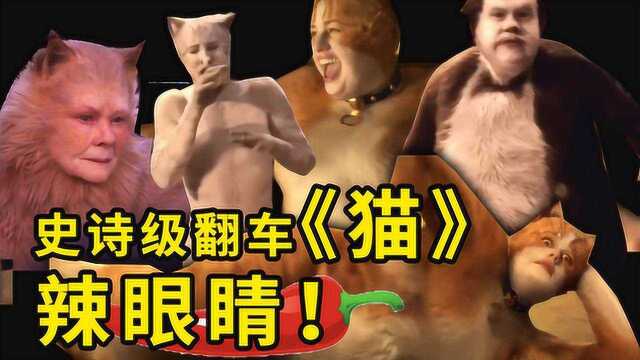 灾难史诗级翻车电影《猫》,爆表级辣眼睛!