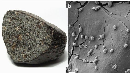 科学家发现陨石中有生命体，生命或起源于外太空？看看专家怎么说