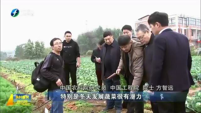 为助力现代农业提质增效 晋江市梓源农业成立方智远院士工作站