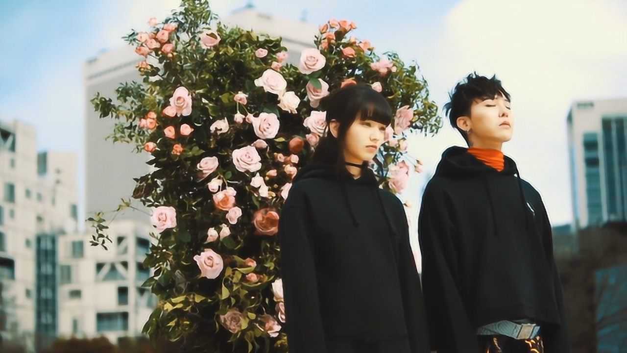 权志龙与小松菜奈恋情公开,疯狂粉丝追星成功,这一对你看好吗?