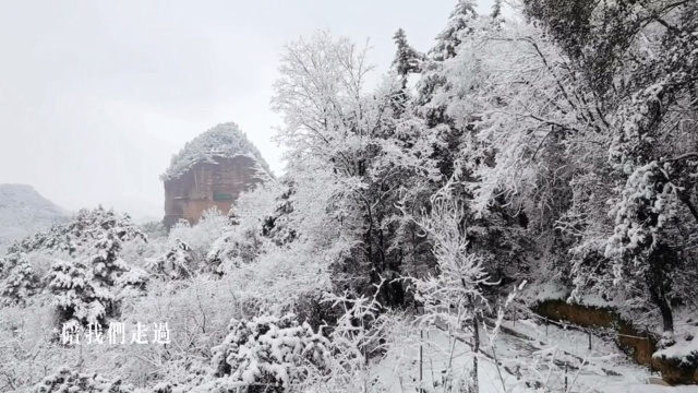 今天是三九第一天,兰州下雪啦!