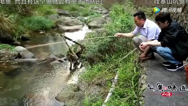 老广味道:特色观音菜!广东人打野做美食