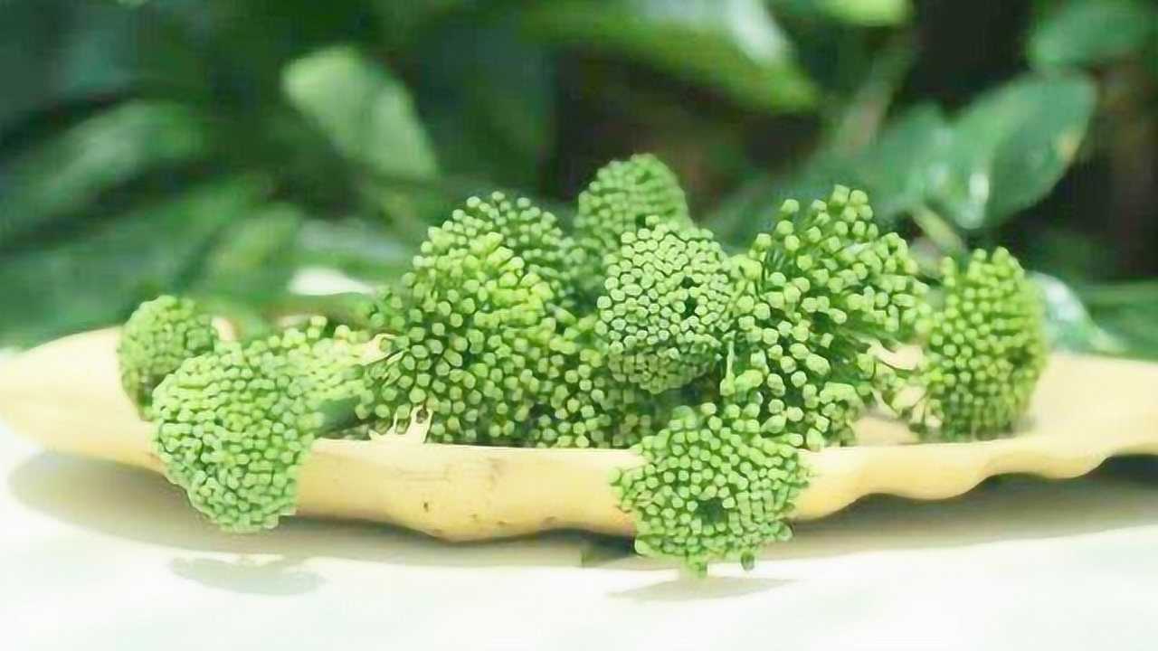 三七花泡水喝的功效有哪些?经常喝,身体收获的好处或令你惊喜_高清1080P在线观看平台_腾讯视频