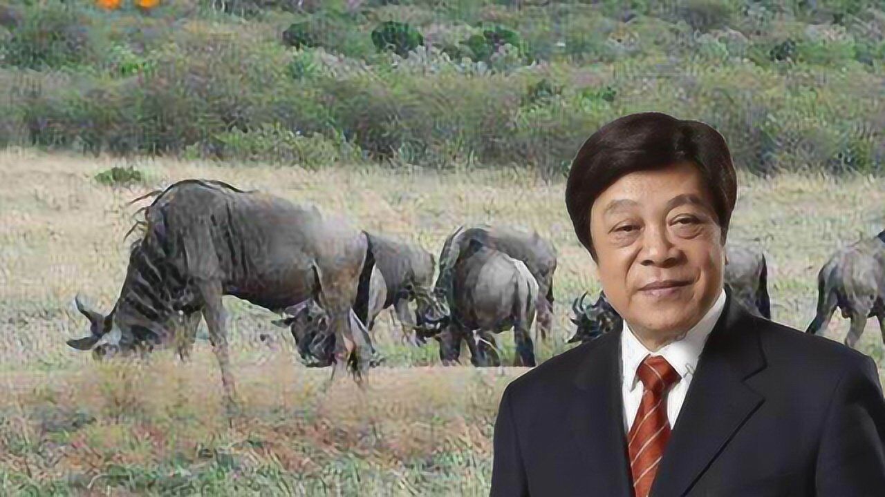 赵忠祥因病去世 享年78岁 一分钟回忆《动物世界》里那熟悉的声音
