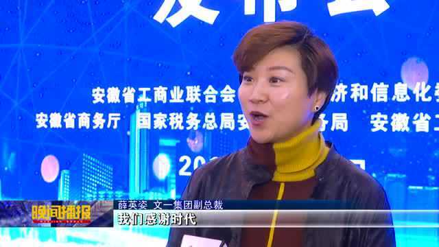 合肥38家上榜 全省民营企业百强今发布!