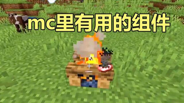 我的世界:mc里几款有用的组件,小小的苹果皮也有大作用