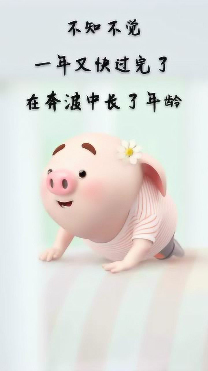 不知不觉一年又过去了往后余生努力做一个简单知足常乐的人