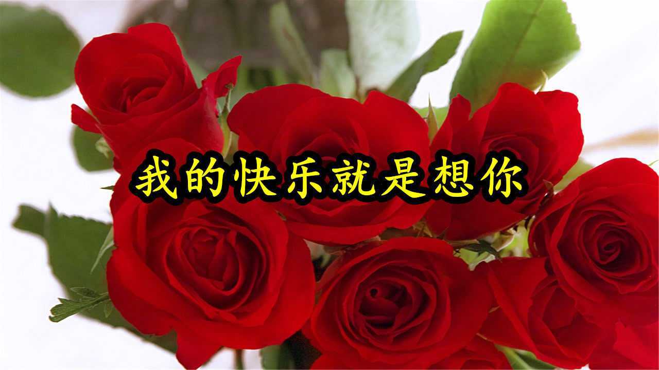 情歌mv我的快乐就是想你你是我的宝贝不让你委屈