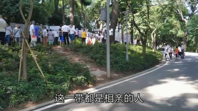 实拍广州天河公园相亲角,现在女人相亲要求是怎样呢?带大家看看