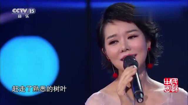 好歌推荐,一曲《梧桐树》精彩送上,听一遍还想听!