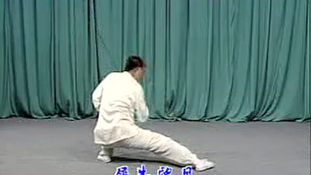 刘敬儒程式八卦剑_高清1080P在线观看平台_腾讯视频