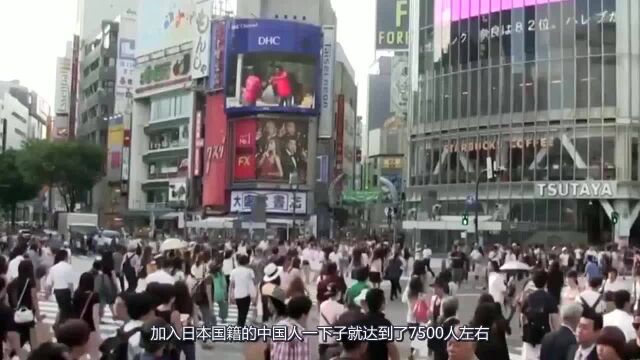 为什么越来越多的中国人选择日本国籍留学生说出真相,让人无语