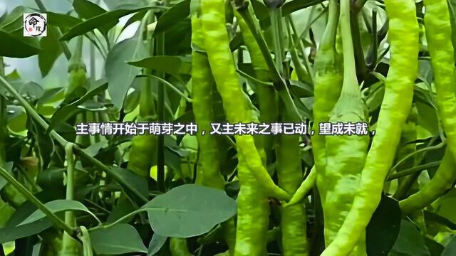 命理四柱定位取象 速记金口诀(建议收藏)