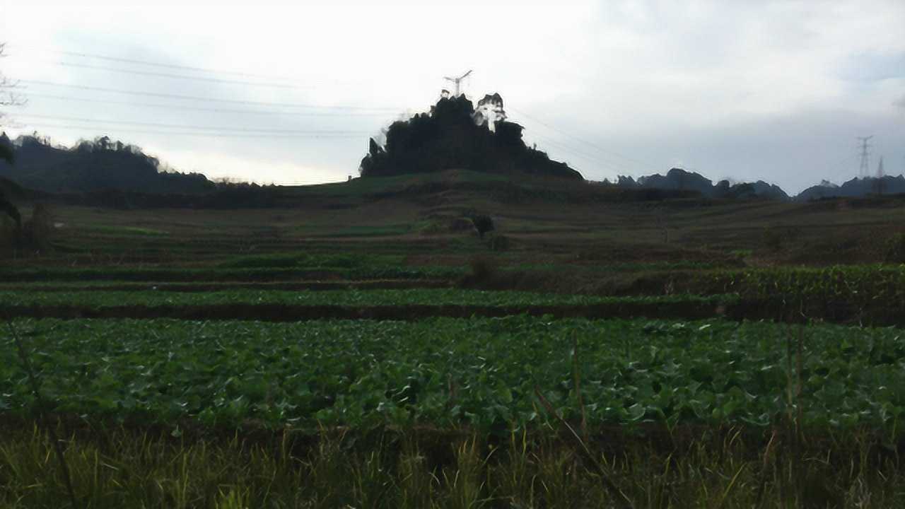 風水視頻風水大師王君植四川考察任府臺祖墳風水傳說中的牛形風水寶地