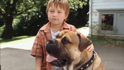 小男孩捡到一条聪明的狗狗，不料这是一条训练有素的警犬