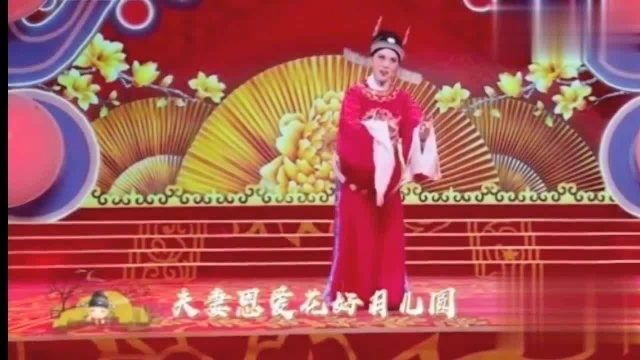 黄梅戏表演名家吴琼演绎的《女附马》唱腔优美,圆润,经典之作.