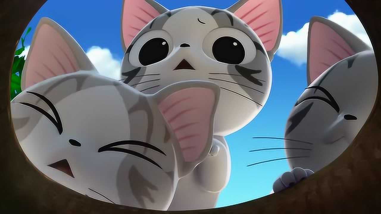 甜甜私房猫:小猫们发现了什么呢