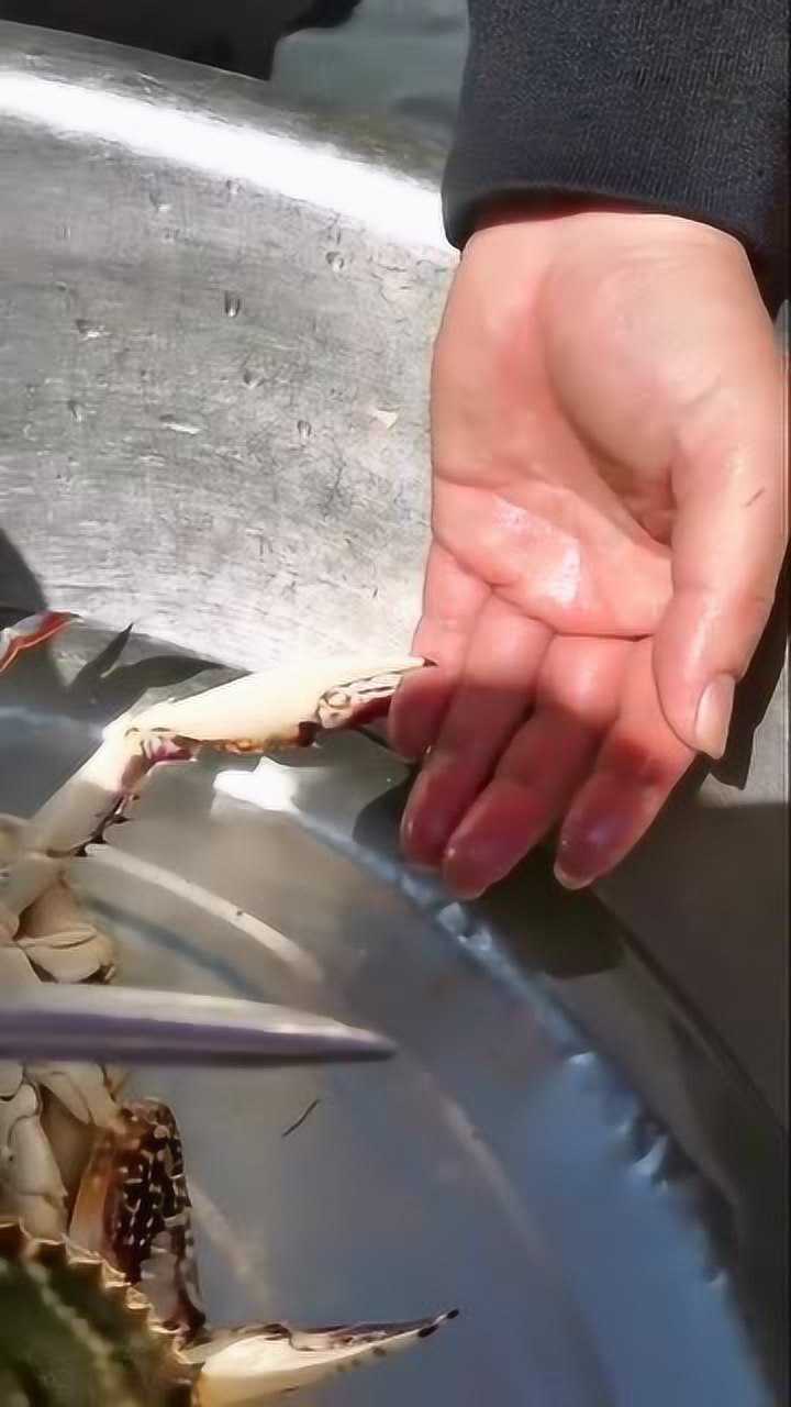 男子测试螃蟹夹人有多疼竟把手指伸进它的钳子