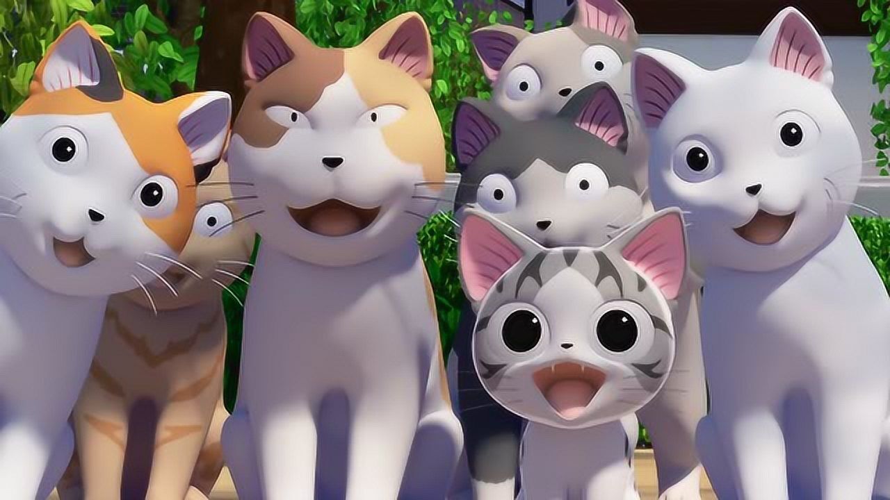 甜甜私房猫:数一数,一共有多少个小猫_腾讯视频