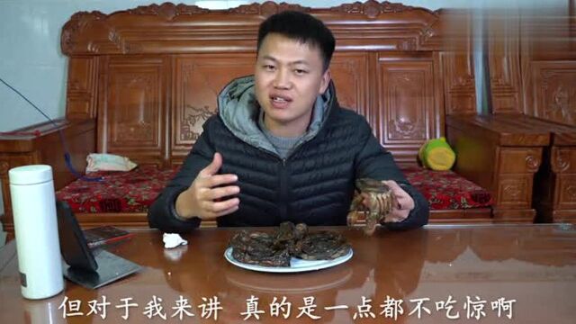 试吃169元买的缅甸软壳蟹,裹上面粉油炸后,简直要被馋哭!