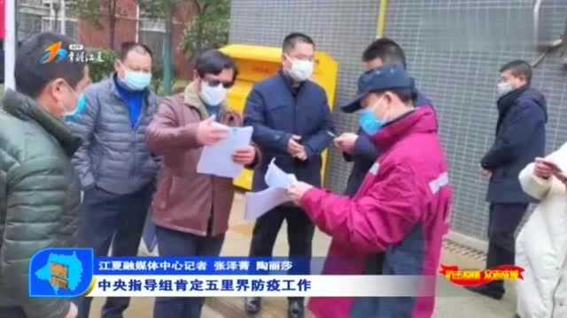 中央指导组肯定武汉江夏,五里界防疫工作,表示抗疫工作扎实!