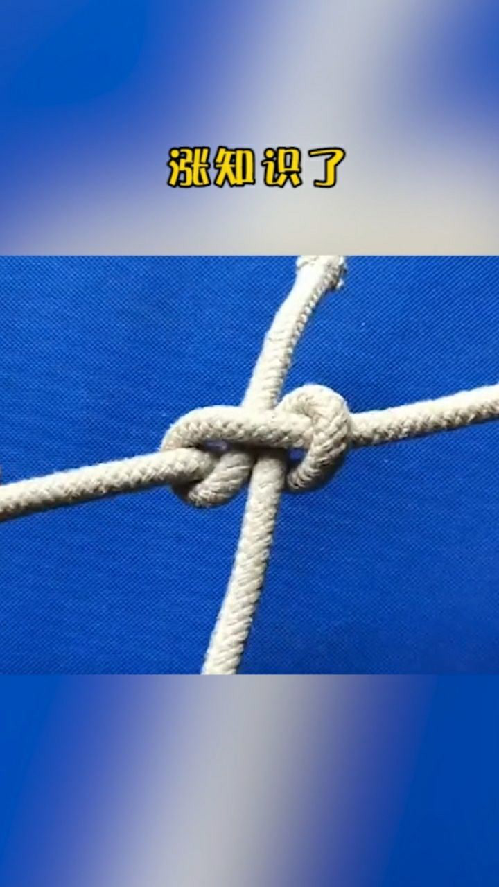 绳子这样打结八匹马都拉不开