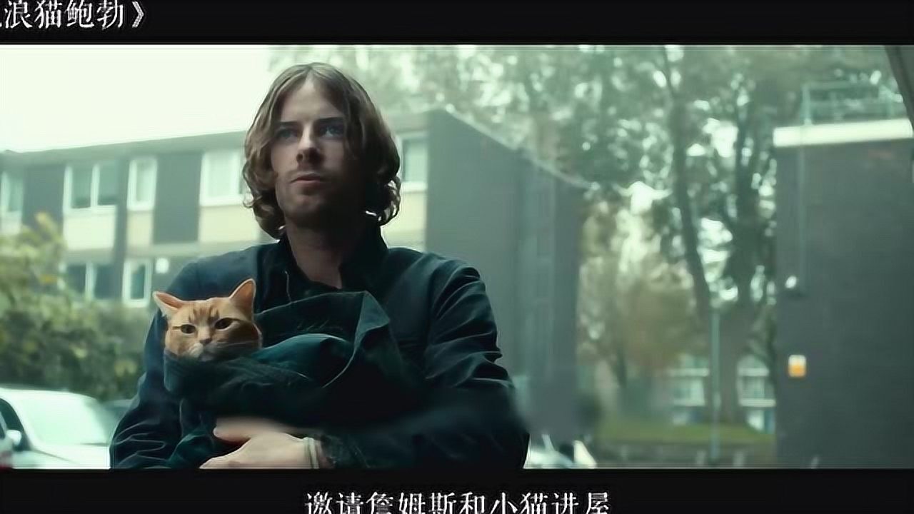 流浪汉捡到一只流浪猫,从此走向人生巅峰,真实事件改编电影!_高清1080P在线观看平台_腾讯视频