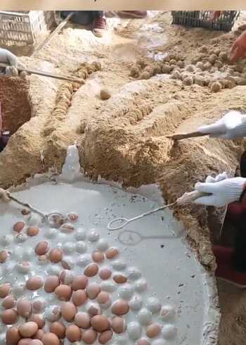 皮蛋制作的加工过程,纯手工的操作方法,怪不得卖这么贵!