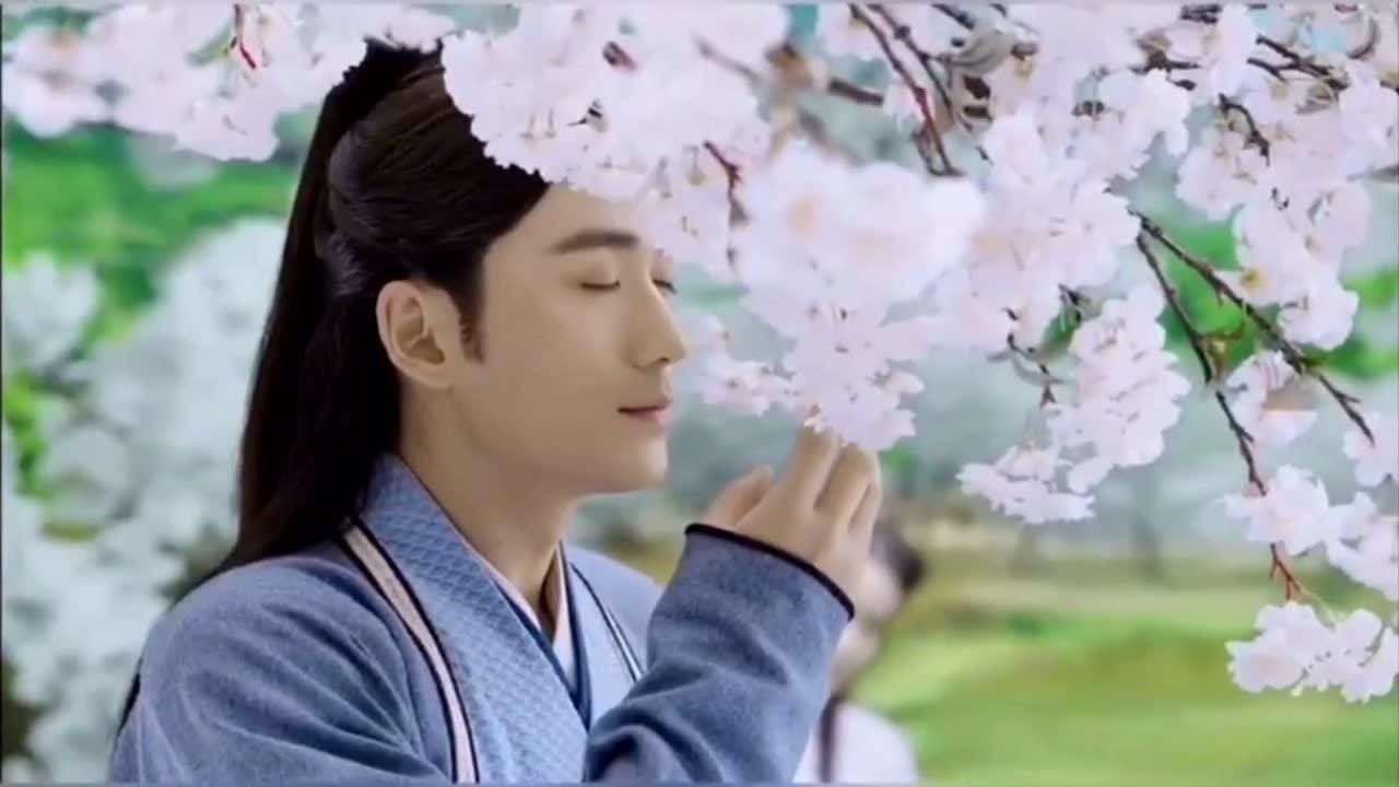 古风男神-不知姑娘心悦哪家公子?