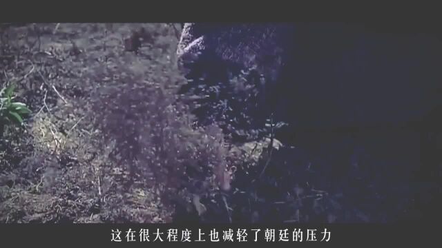 明朝灭亡后,一支20万人躲进深山,执行任务300年,如今想要回家