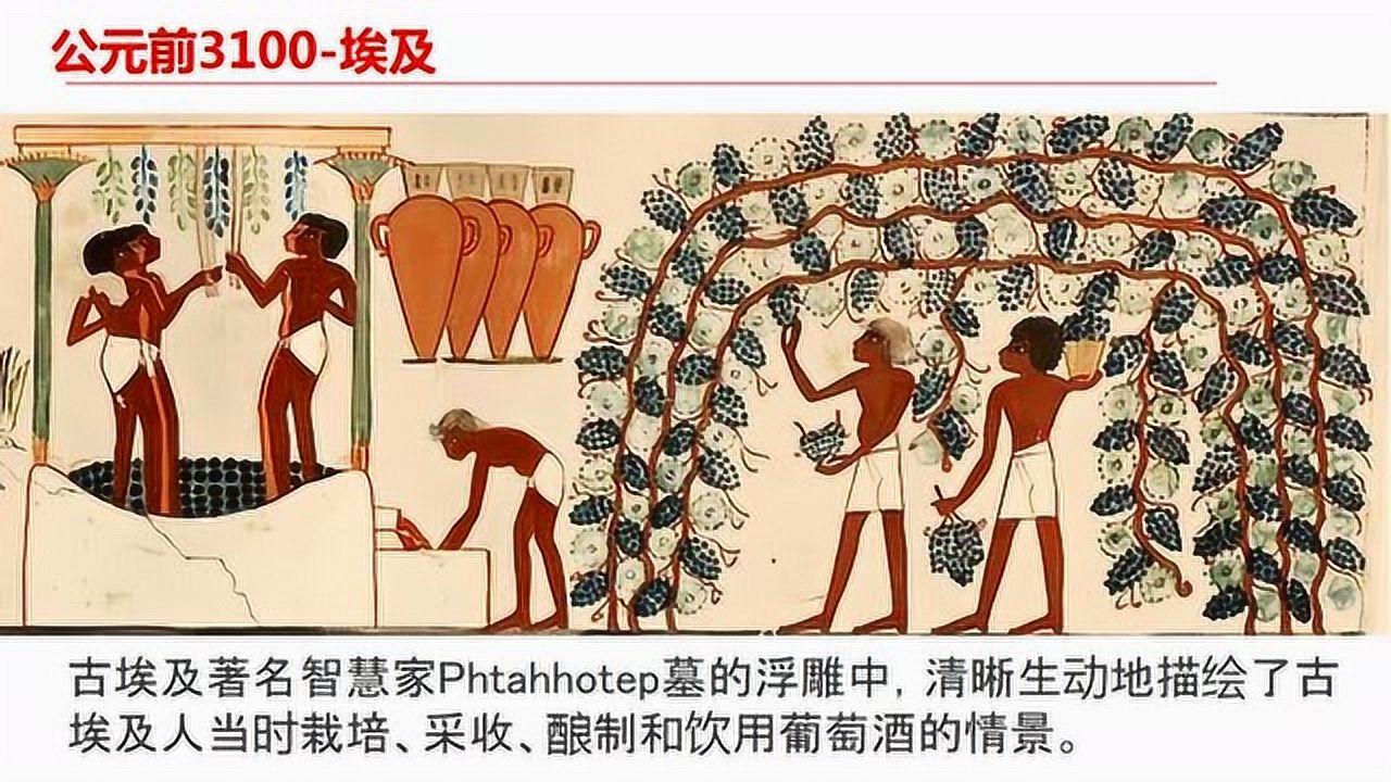 葡萄酒的历史起源与发展_高清