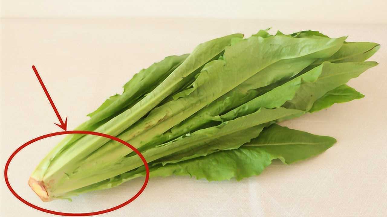 后悔知道太晚,尽早告诉所有人,越早越好