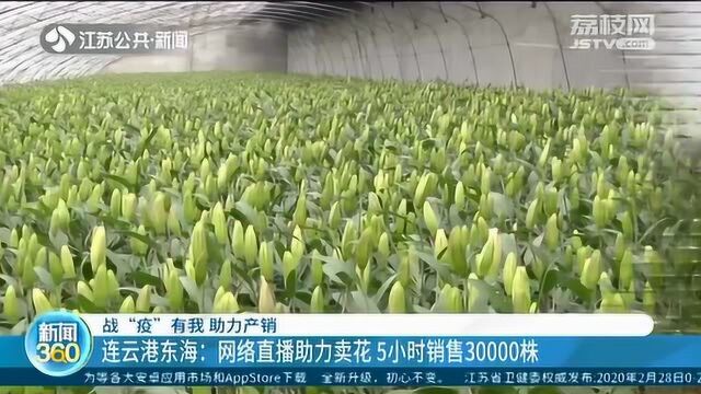 疫情期间多方助力 网络直播帮助产销 5小时销售30000株