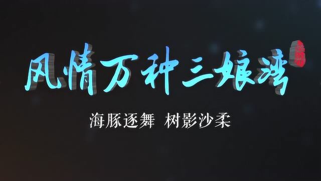 TA都来了,就等你们来收钱啦!——钦州市三娘湾景区项目招商