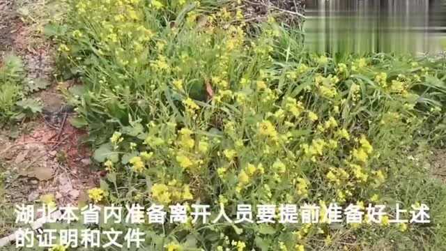 湖北:3月1日传来好消息,湖北省人员有这些手续就可以出去工作了