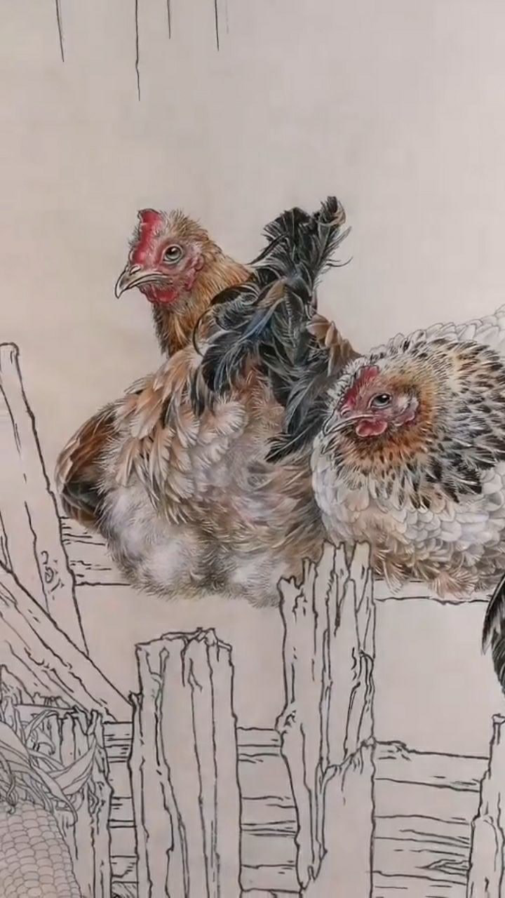 非常写实的母鸡画,动作神态都非常好