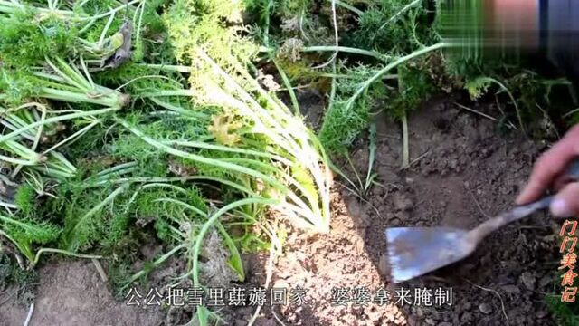 农村婆婆分享腌雪里蕻的正确做法,一次做10斤,放半年都不会坏