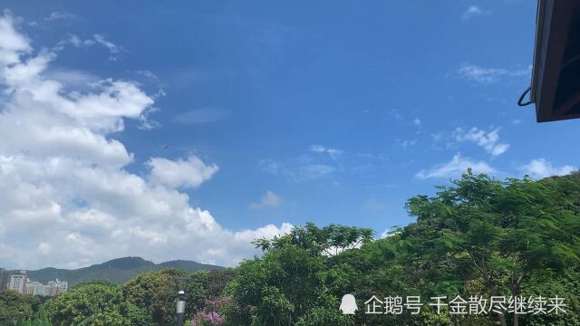 深圳周末福永立新湖观光天蓝蓝水清清微风习习周末观光好去处