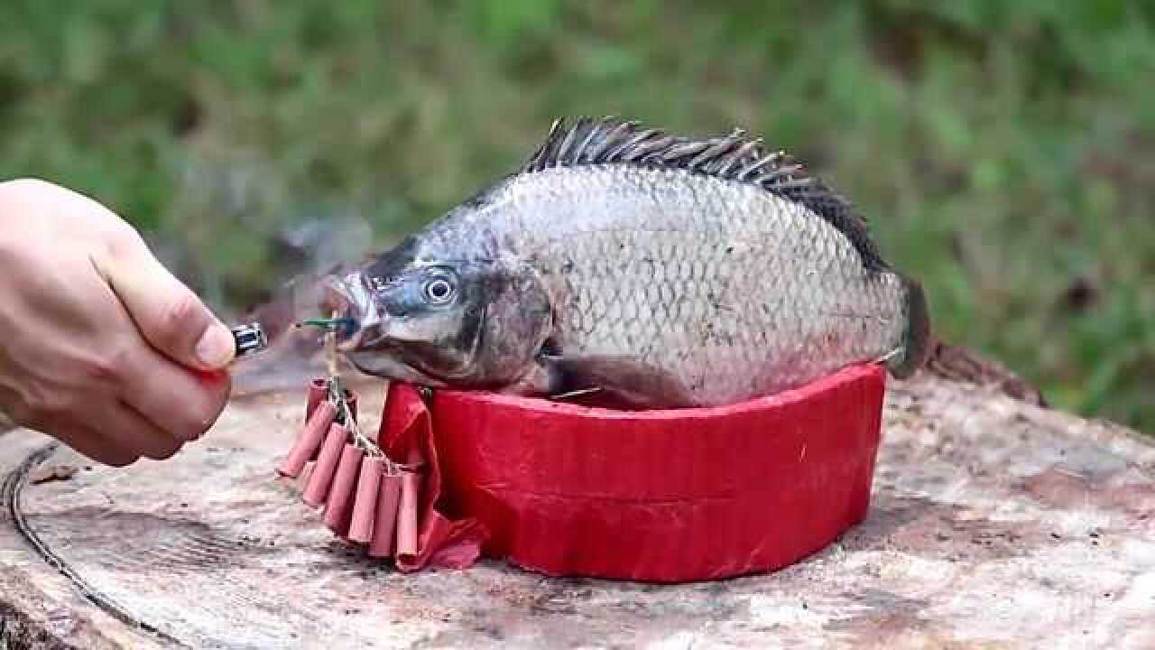 老外用鞭炮炸鱼,你觉得这样能炸熟吗