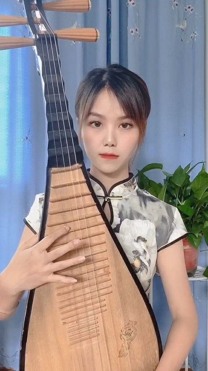 谁可以用琵琶弹奏一曲东风破