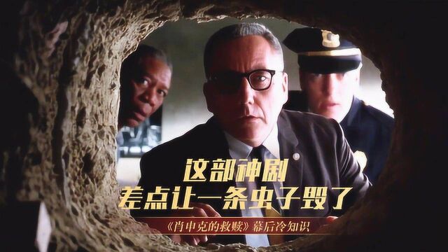 肖申克的救赎:为能上映,剧组听从爱虫人士要求,给虫子“演员”建豪宅