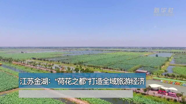 世界那么大丨江苏金湖:“荷花之都”打造全域旅游经济