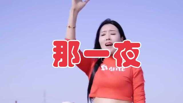 劲爆女歌手一首DJ舞曲《那一夜》动感激情,火遍网络!