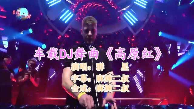 高原民歌DJ舞曲《高原红》高音质分轨DJ女声版非常好听的经典歌曲