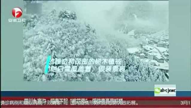 四川九寨沟初春下起“桃花雪”银装素裹显妖娆