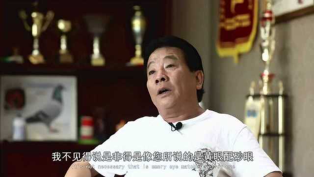 对话北京李甫《二》:更喜欢用雌鸽打比赛