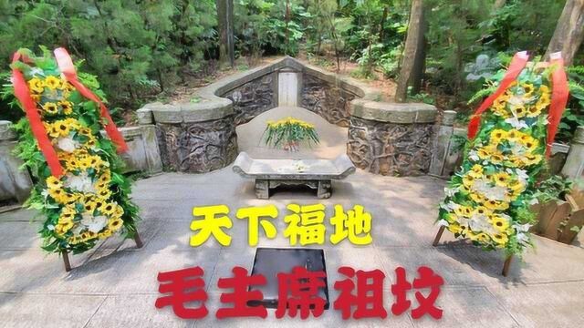 拜谒韶山毛主席祖坟,牛形山虎歇坪上,牛虎相伴好福地